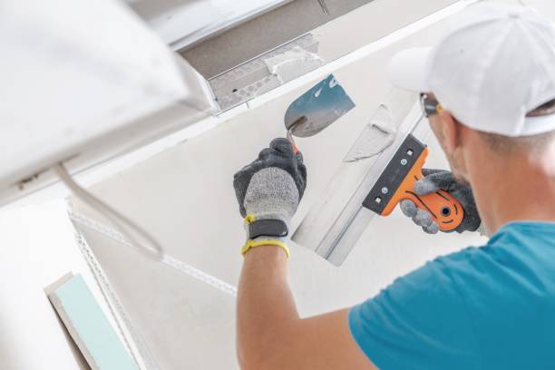 Professional Mold Removal in Hackensack, NJ